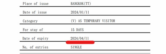 eVisa签发页上会记载签证的过期时间。